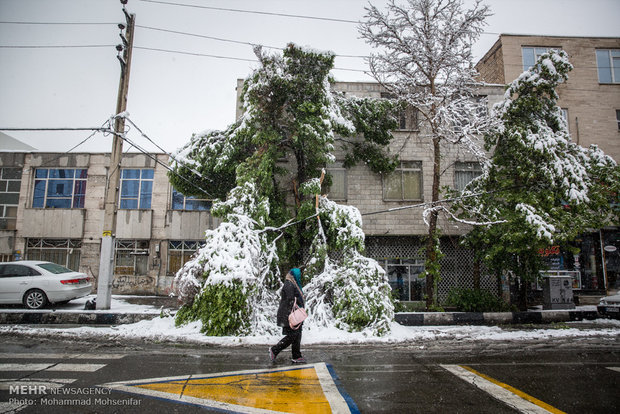 April snow in Karaj