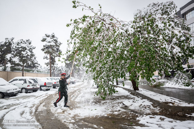 April snow in Karaj