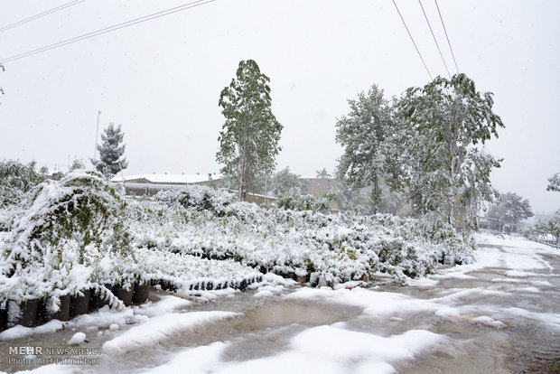 April snow in Karaj