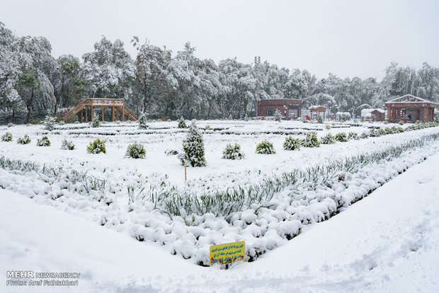 April snow in Karaj