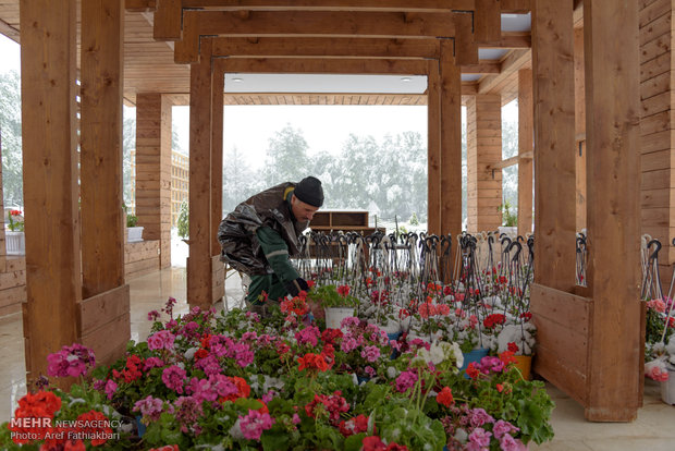 April snow in Karaj