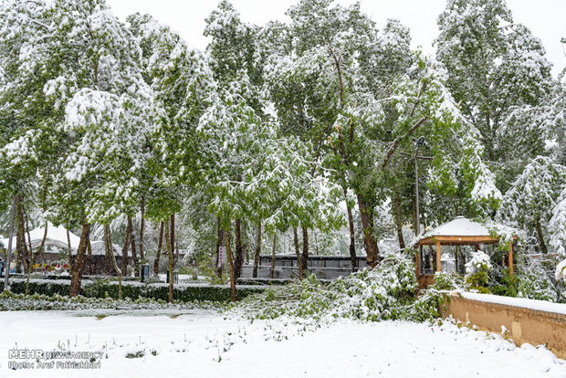 April snow in Karaj