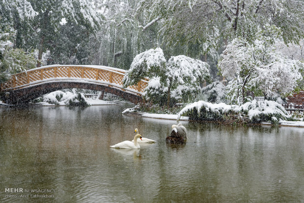 April snow in Karaj