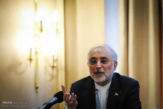 Iran has ‘many options on table’ if EU delays its commitments on JCPOA: Salehi warns