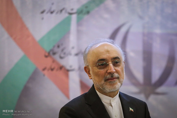 Iran ready to build light-water reactors for its neighbors: Salehi