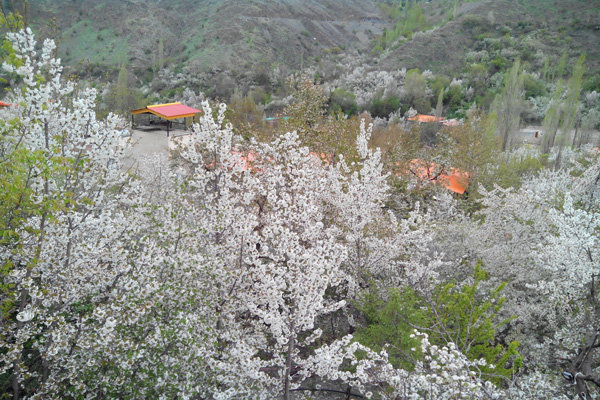 طبیعت زیبای روستای زشک در فصل بهار