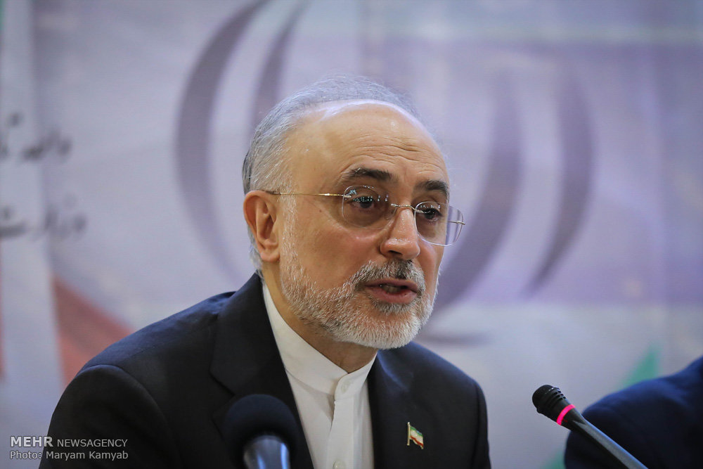 Arak reactors plutonium not for atomic bombs construction Salehi