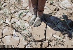 18 wetlands totally drained in Iran: deputy environment chief