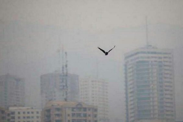 آلودگی هوا نفس کلان‌شهرها را گرفت؛ طرح‌هایی که به سرانجام نمی‌رسد