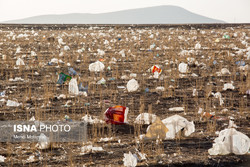 Iran may approve regulation to curb plastic bags consumption 