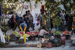 آغاز طرح جامع ساماندهی دستفروشان در شهر تهران