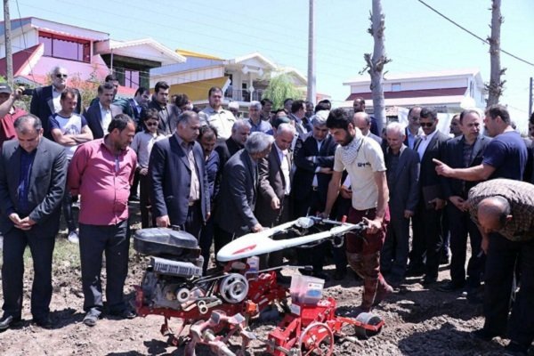 نخستین کشت مکانیزه بادام زمینی در آستانه اشرفیه انجام شد