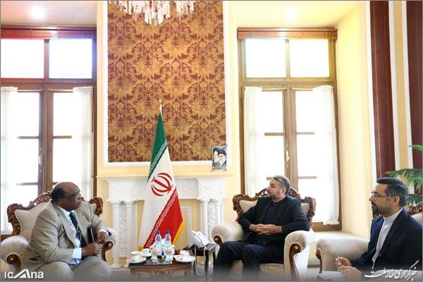 سفیر زیمباوه در تهران با امیرعبداللهیان دیدار کرد