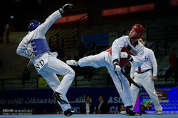 Five Iranian taekwondokas to compete in 2018 Wuxi Grand Slam