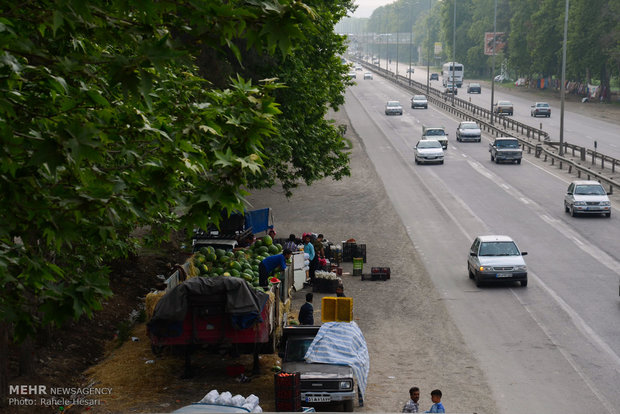 فروش غیرمجاز محصولات در کنار جاده های گلستان