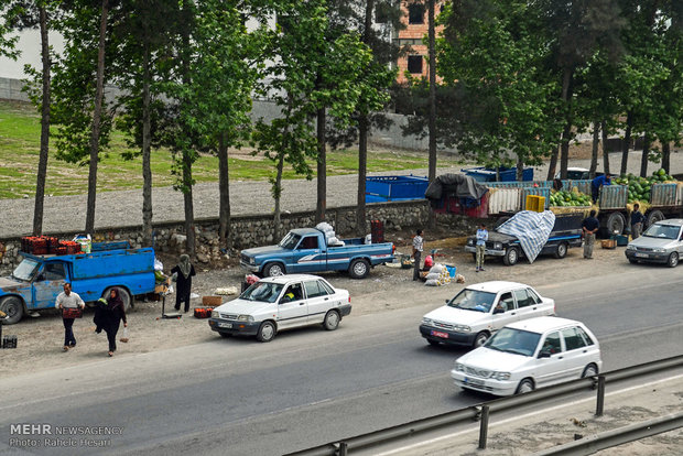 فروش غیرمجاز محصولات در کنار جاده های گلستان