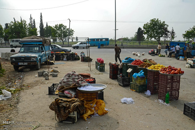 فروش غیرمجاز محصولات در کنار جاده های گلستان