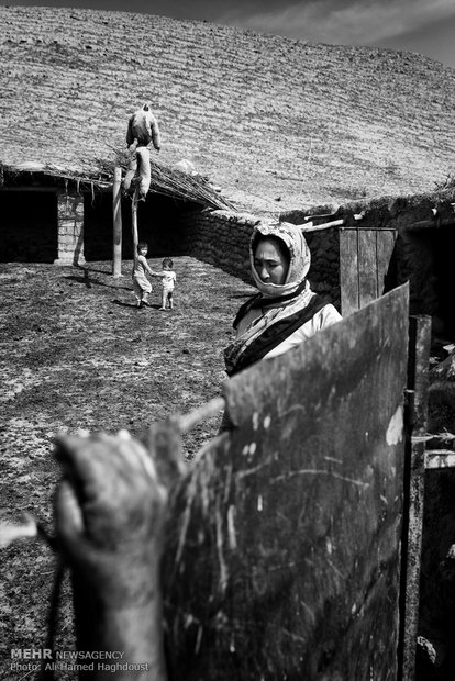 زن روستایی آق بیکه چندری در آغل دام‌هایشان مشغول کار است در حالیکه فرزندانش در حال بازی کنار مترسک آویزان به تیرک چوبی هستند.