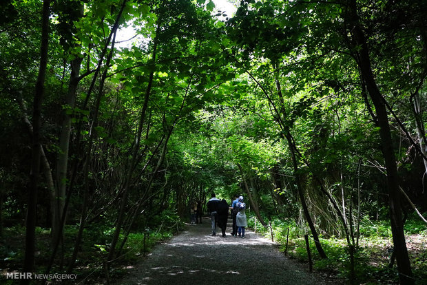 National Botanical Garden of Iran