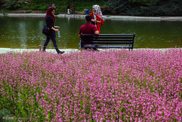 National Botanical Garden of Iran