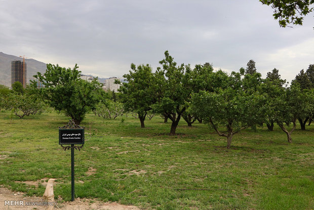 National Botanical Garden of Iran