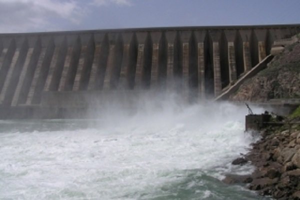 سهم ناچیز خاستگاه زیتون از سطح زیرکشت/آب چالش جدی زیتونکاران است