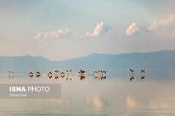 Photo by Soheil Faraji / ISNA