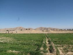  A general view of Tal-e Sefidak, a Sassanid-era site in Fars province