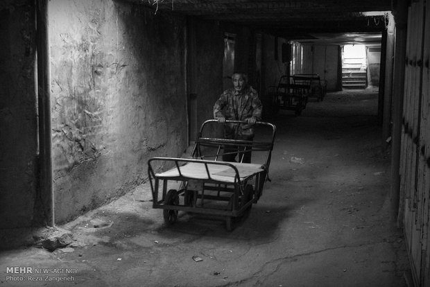 چرخ زندگی چرخی های همدان