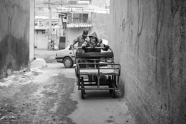 چرخ زندگی چرخی های همدان