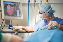‘Medical tourism could fetch Iran $7b annually’