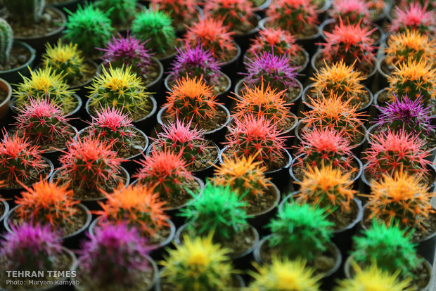 Intl. Exhibition of Flowers, Plants, Park Equipment and Related Industries opens in Tehran