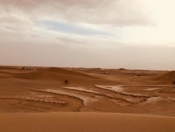 Yazd, land of brown memories