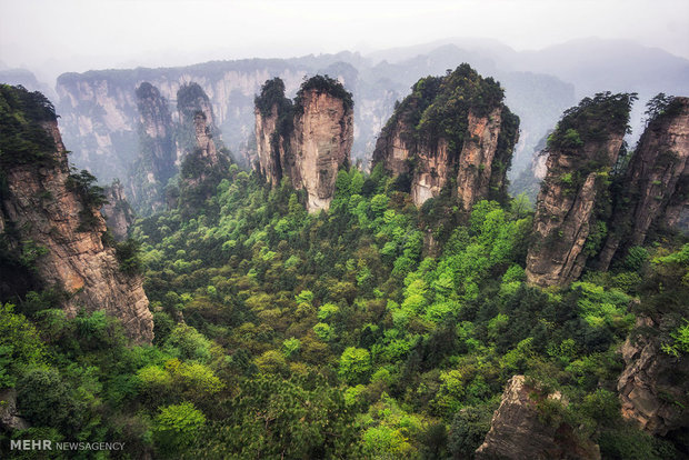 سفری به ژانگ جیاجی چین‎