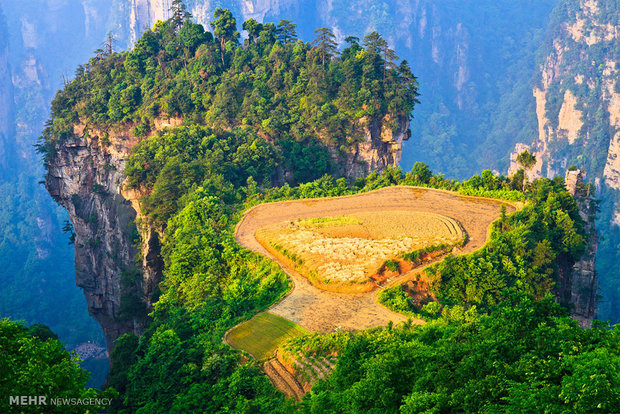 سفری به ژانگ جیاجی چین‎