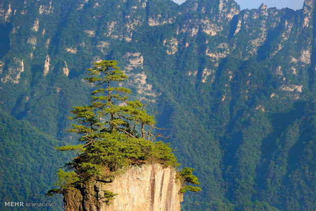 سفری به ژانگ جیاجی چین‎