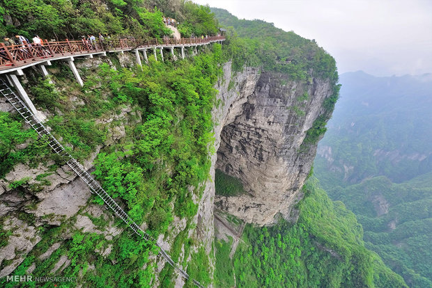 سفری به ژانگ جیاجی چین‎