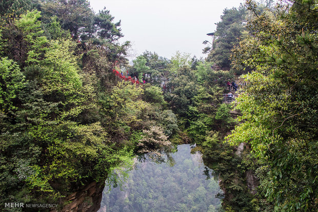 سفری به ژانگ جیاجی چین‎