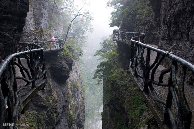 سفری به ژانگ جیاجی چین‎