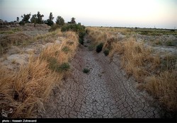Photo of a dried up river near Hamoun Lake, Sistan-Baluchestan province, taken in December 2015 Photo by Hossein Zohrevand/Tasnim