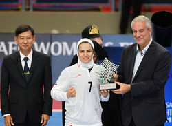 Fereshteh Karimi