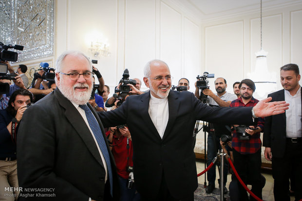 FM Zarif receives EU energy commissioner