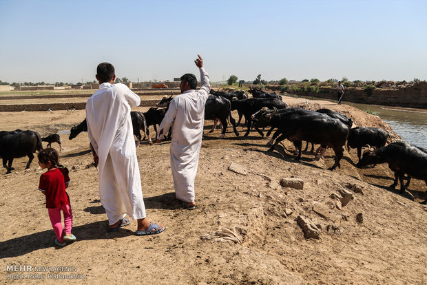 عودة الحياة لنهر الكرخة في الأهواز 