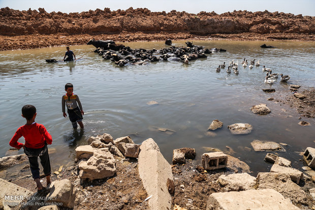 عودة الحياة لنهر الكرخة في الأهواز 