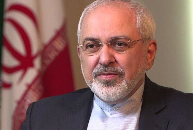 FM Zarif holds talks with S African counterpart 