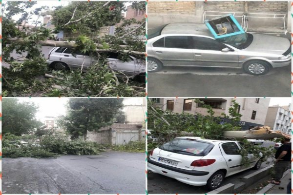خسارت ۲۰۰ درخت در معابر شهری جنوب تهران بر اثر طوفان