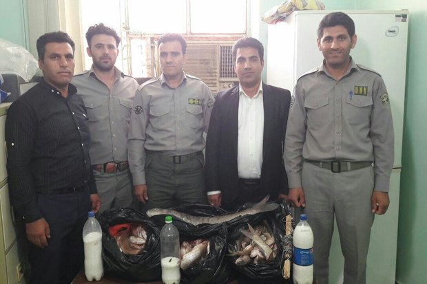 صیادان غیرمجاز ماهی در پلدختر دستگیر شدند/ کشف ۳۰۰ قطعه ماهی