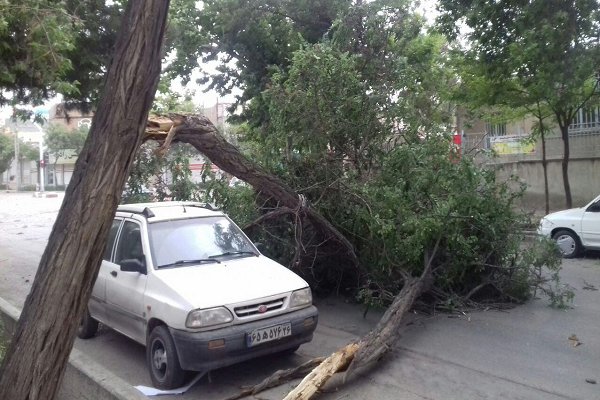 طوفان شدید مناطق مختلف بجنورد را در نوردید