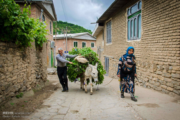 Silk farming and weaving in Iran’s Golestan province