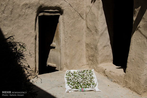 Silk farming and weaving in Iran’s Golestan province